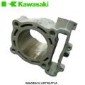 CILINDRO ORIGINAL KAWASAKI KXF250 09/10